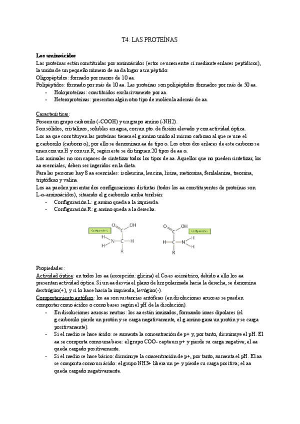 Miniatura del documento T4-LAS-PROTEINAS-1.pdf