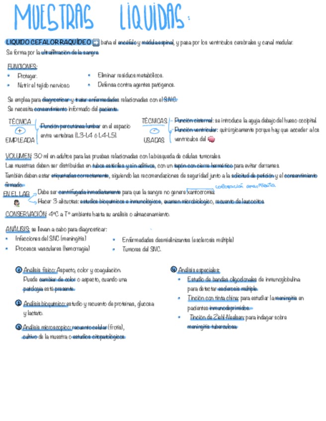 Miniatura del documento TEMA-13-GMB.pdf