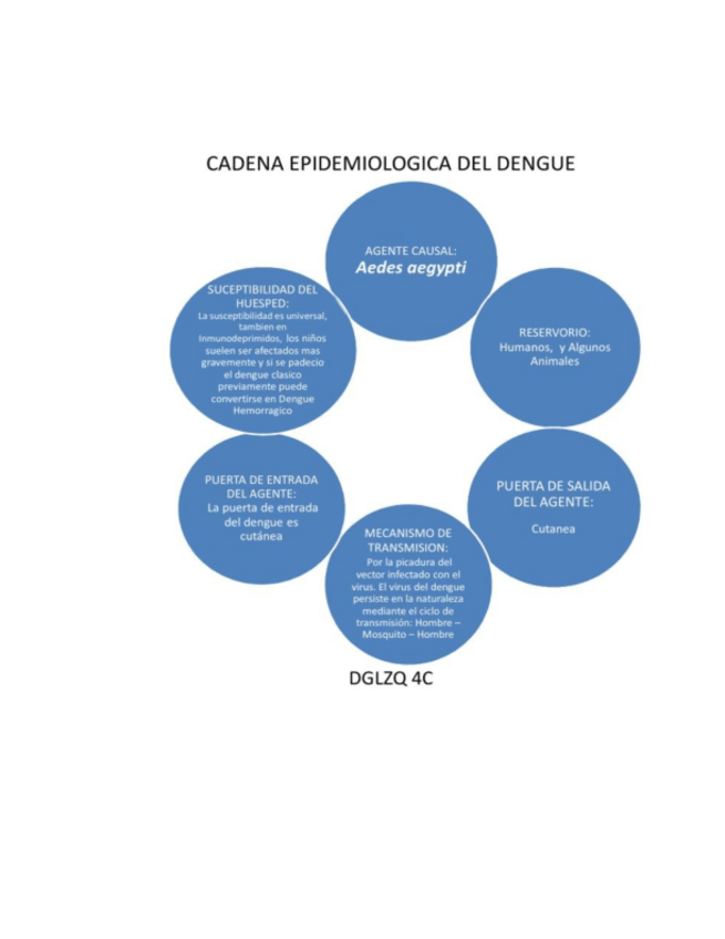 Miniatura del documento CADENA-EPID.-DENGUE.pdf