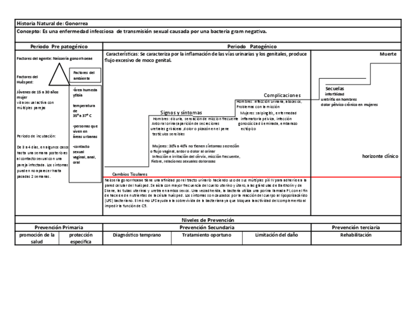 Miniatura del documento HISTORIA-NATURAL-DE-GONORREA.pdf