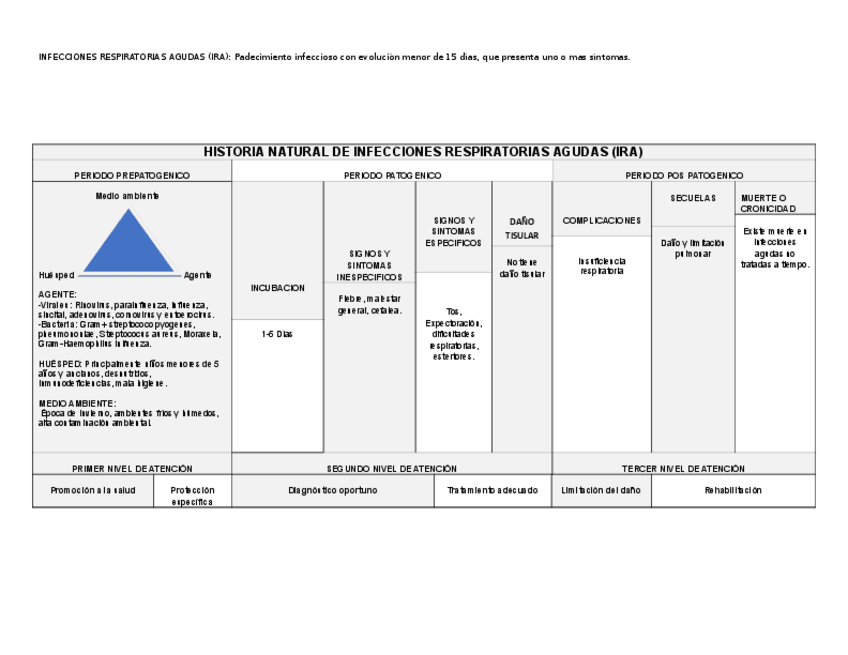 Miniatura del documento HISTORIA-NATURAL-DE-INFECCIONES-RESPIRATORIAS-AGUDAS.pdf
