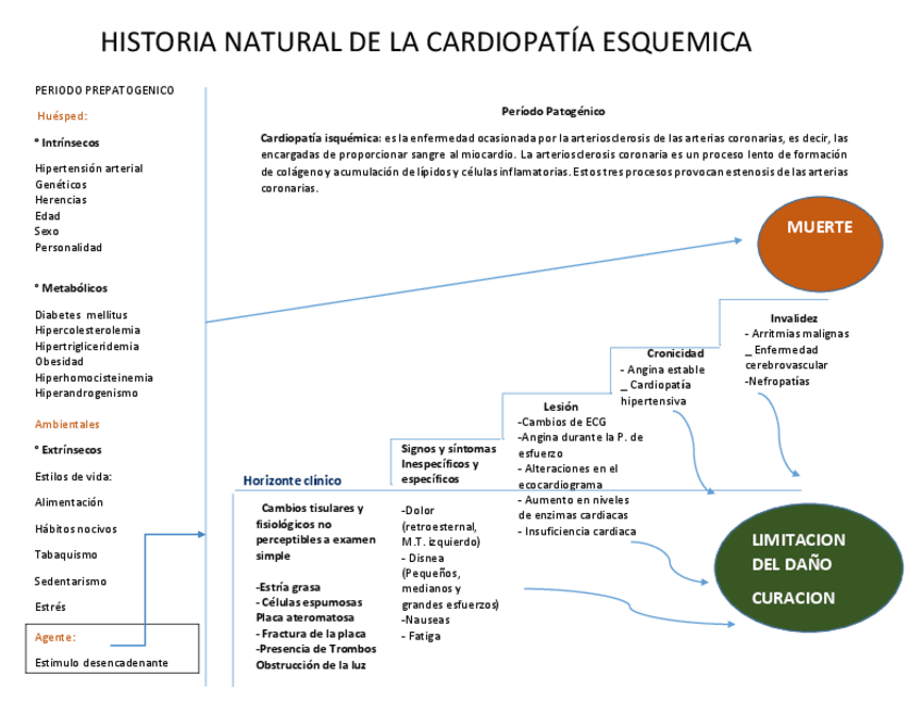 Miniatura del documento HISTORIA-NATURAL-DE-LA-CARDIOPATIA-ESQUEMICA.pdf