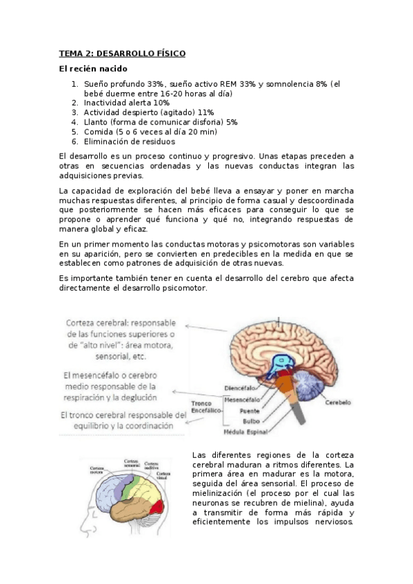 Miniatura del documento TEMA-2.docx