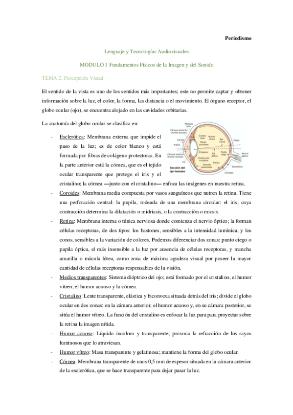 Miniatura del documento Tema-2-Percepcion-Visual.pdf