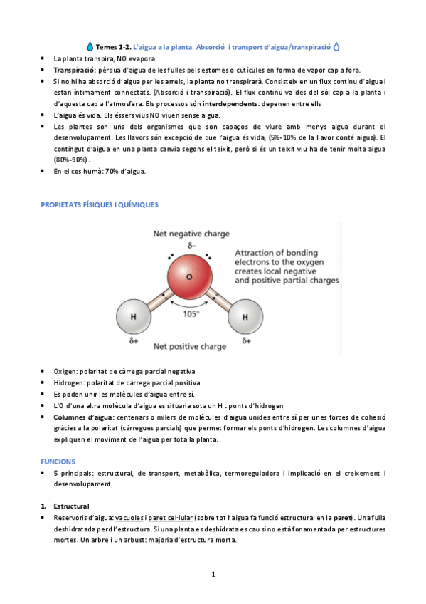 Miniatura del documento T-1-i-T-2-Laigua-a-la-planta.pdf