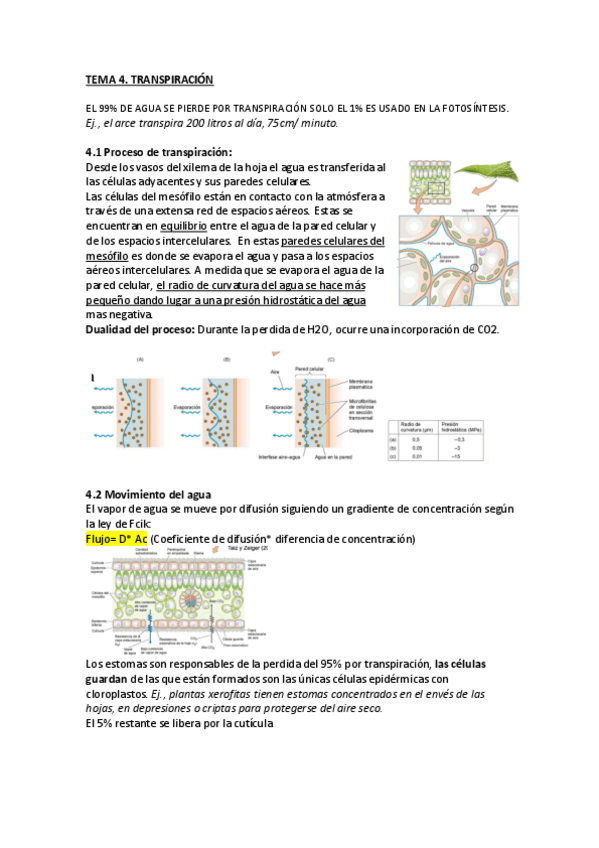 Miniatura del documento tema-4-transpiracion.pdf