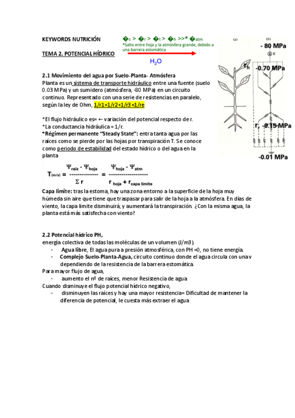 Miniatura del documento tema-2-potencial.pdf