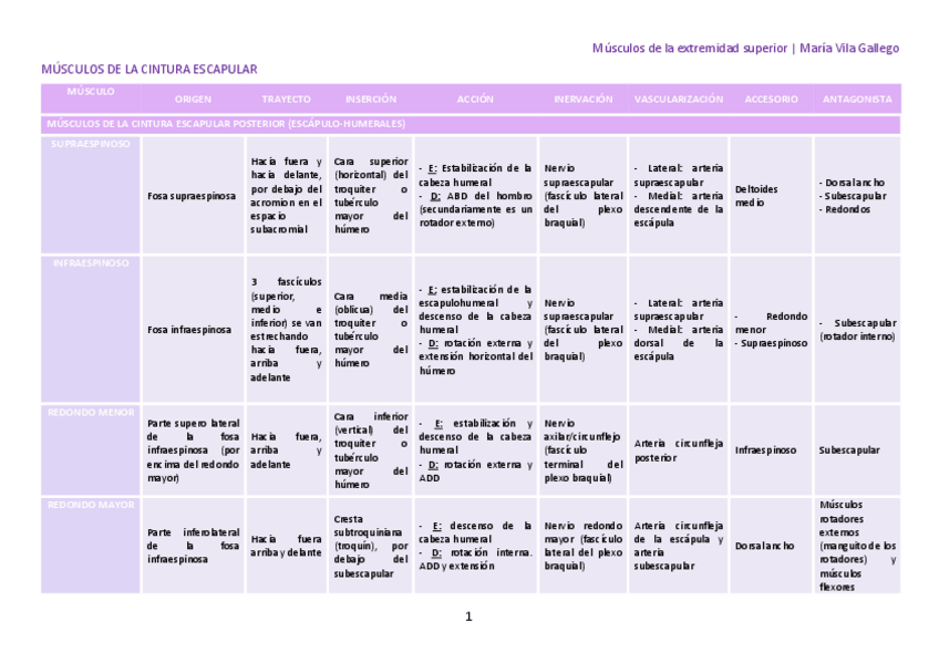 Miniatura del documento EsquemaMusculosTrenSuperior.pdf