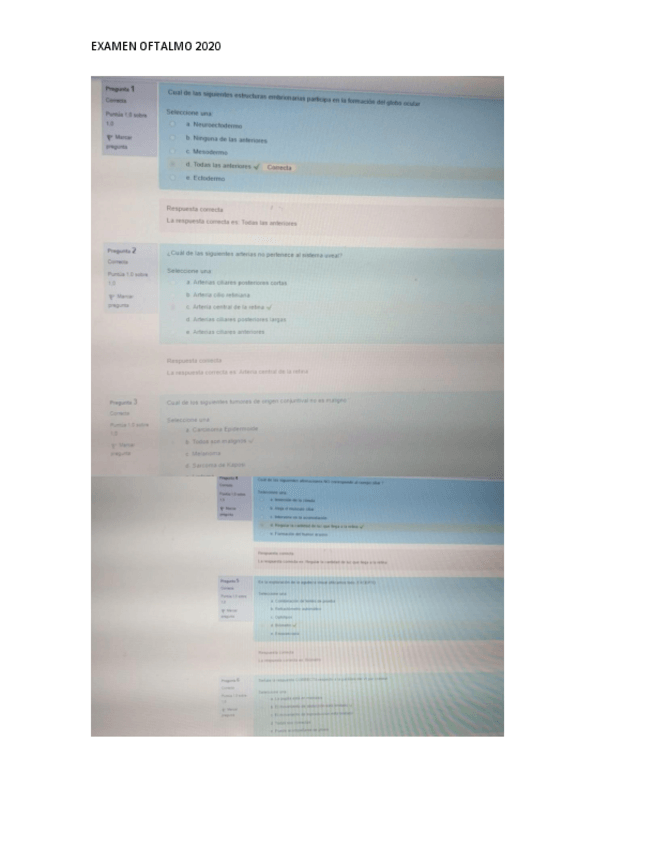 Miniatura del documento Examen-2020.pdf