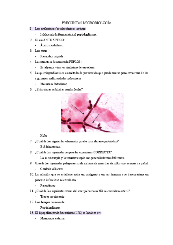 Miniatura del documento Microbiologia-Examen-1.pdf