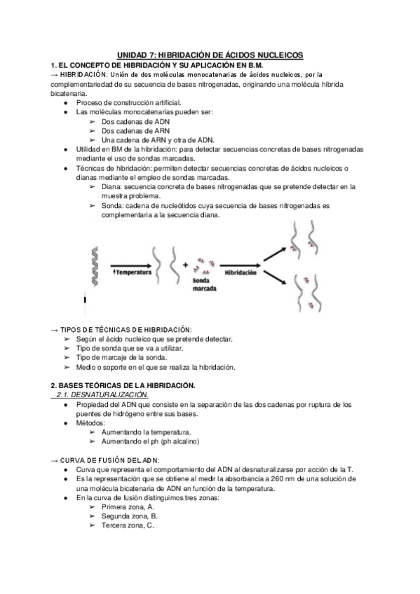Miniatura del documento UNIDAD-7-HIBRIDACION-DE-ACIDOS-NUCLEICOS.pdf