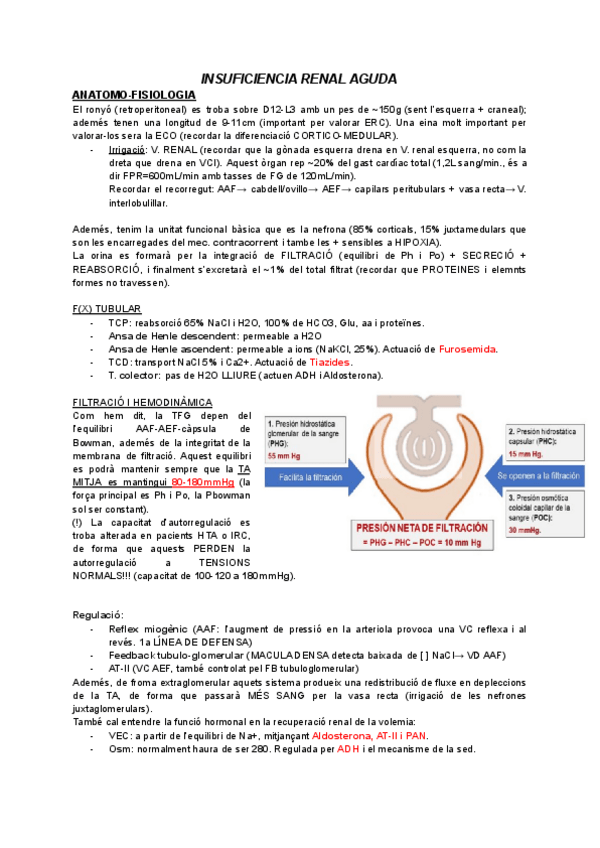 Miniatura del documento Insuficiencia-renal-aguda-marc.pdf