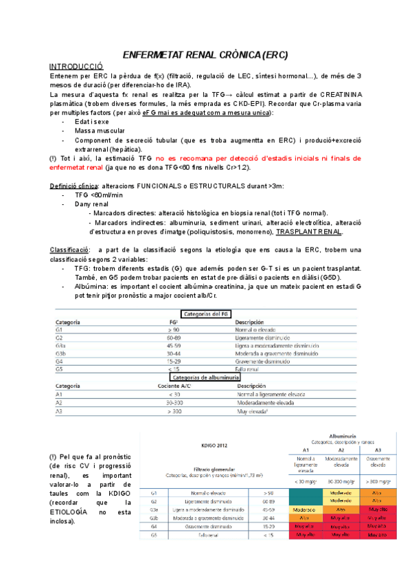 Miniatura del documento IRC--tractament-renal-substitutiu-marc.pdf
