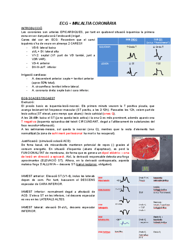 Miniatura del documento Resum-cardio-semis.pdf