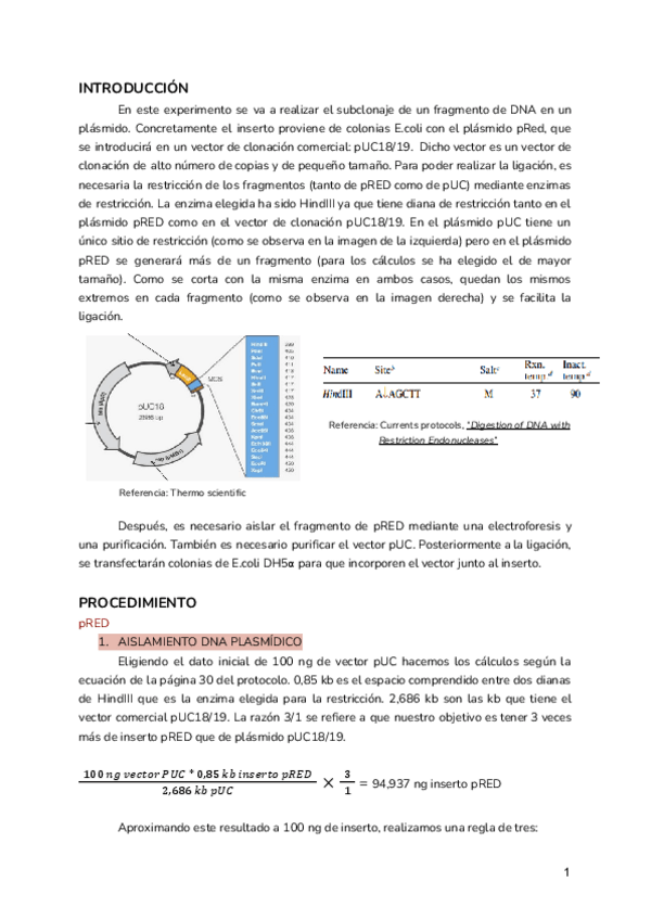 Miniatura del documento PRACTICA-5-Subclonaje.pdf