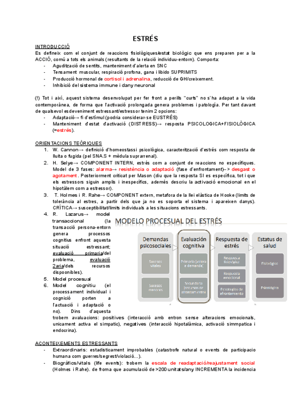 Miniatura del documento Resum-temes-DRA-MUR.pdf