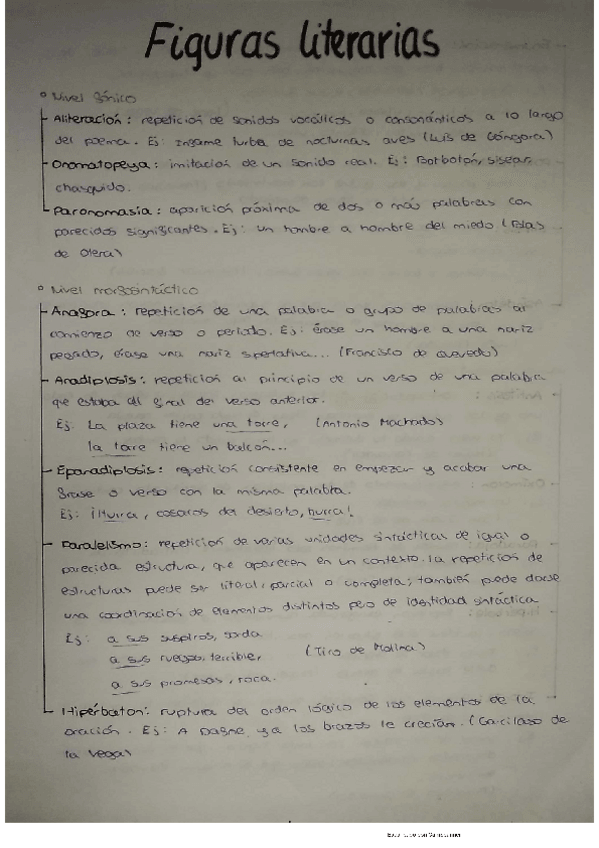Miniatura del documento lengua-figuras-literarias.pdf