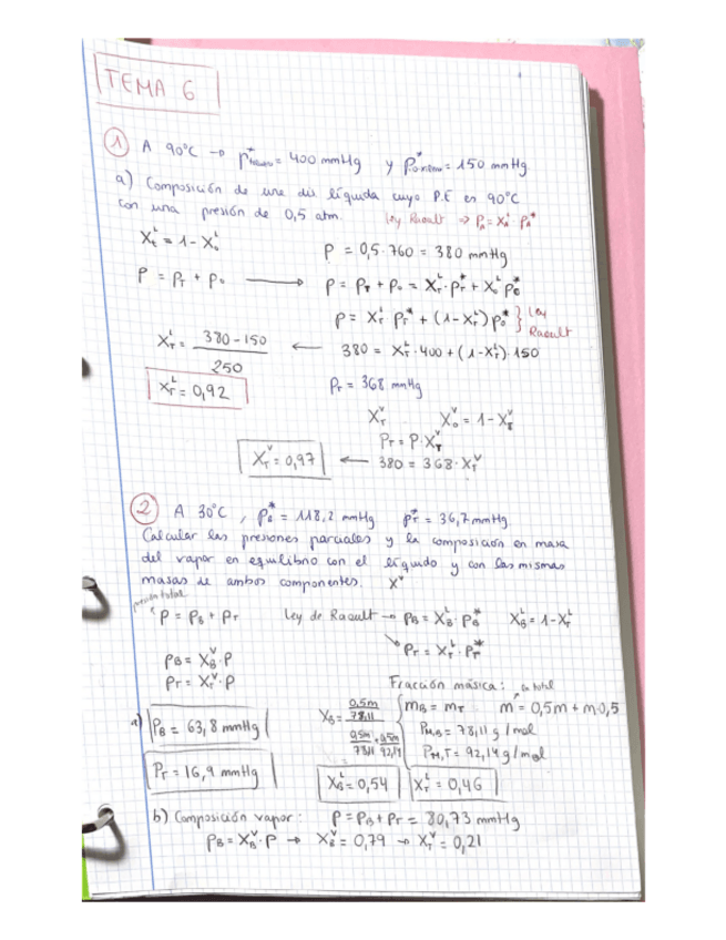 Miniatura del documento Termo-T-6.pdf