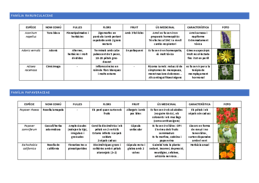 Miniatura del documento quadre-asterides.pdf