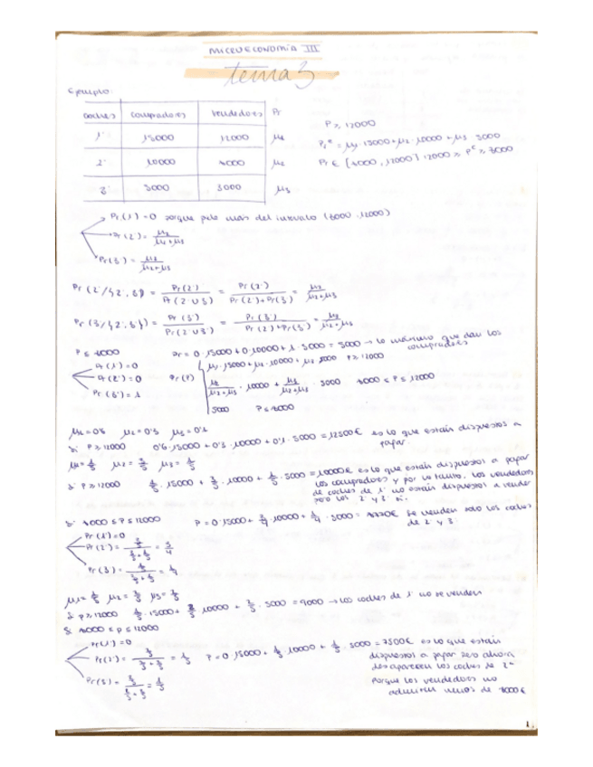 Miniatura del documento PARTE-3-MICRO-III.pdf