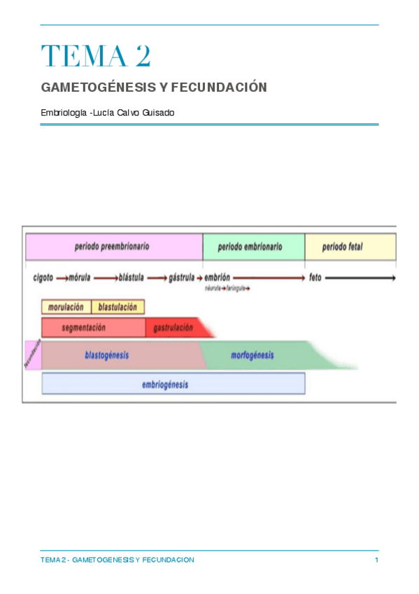 Miniatura del documento TEMA 2 EMBRIOLOGÍA.pdf