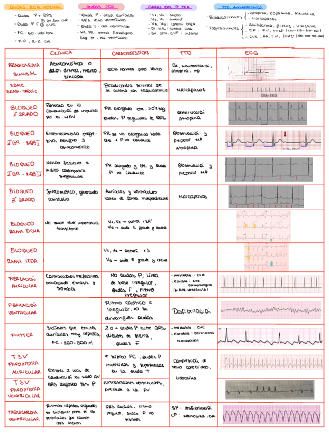 Miniatura del documento RESUMEN-CARDIO-DAVID.pdf
