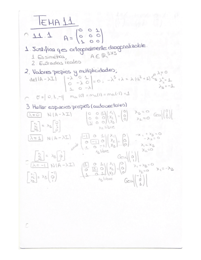 Miniatura del documento Tema-11-ejercicios-resueltos-algebra.pdf