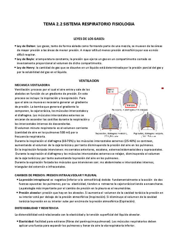 Miniatura del documento TEMA 2.2 FISIOLOGIA SISTEMA RESPIRATORIO.docx.pdf