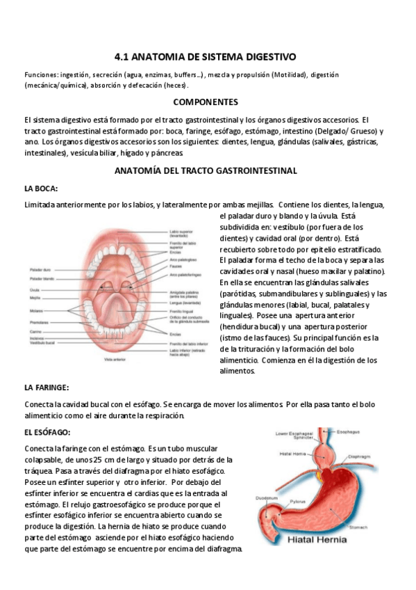 Miniatura del documento 4.1 Aparato digestivo- membranas.pdf