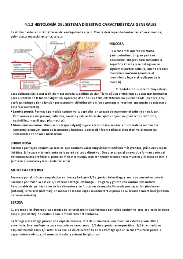 Miniatura del documento 4.1.2 y 4.1.3 General y control.pdf