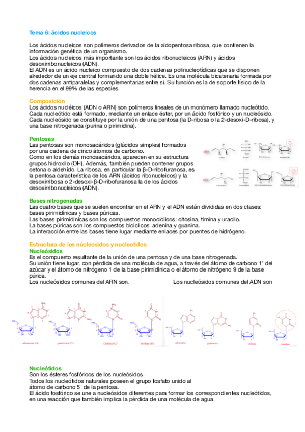 Miniatura del documento Tema-6-bioquimica.pdf