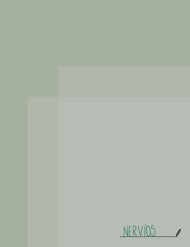 Miniatura del documento ESQUEMA-SISTEMA-NEURO-MUSCULARES-2223.pdf