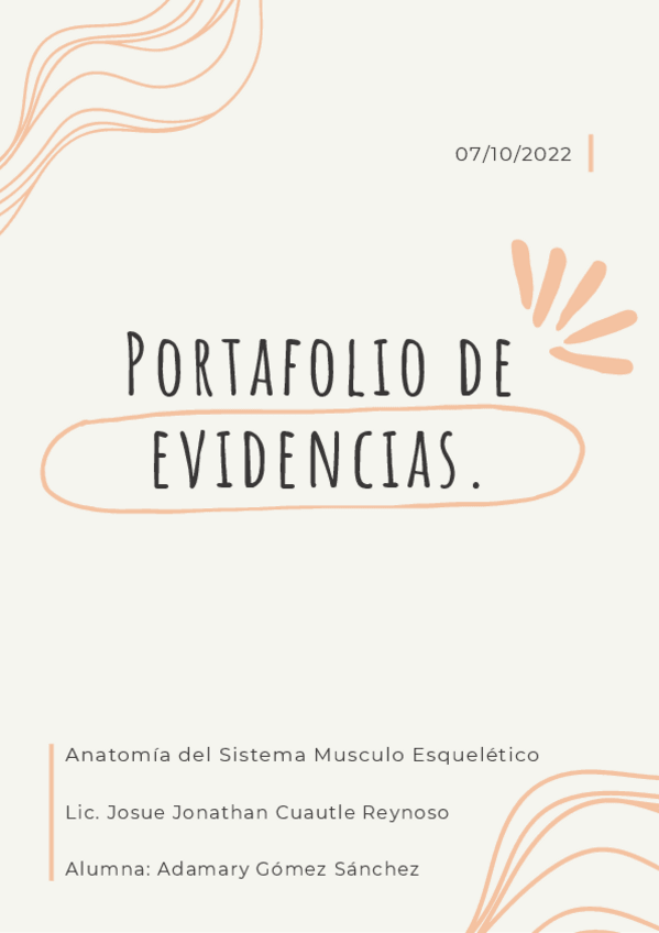Miniatura del documento Portafolio-de-evidencias-.pdf