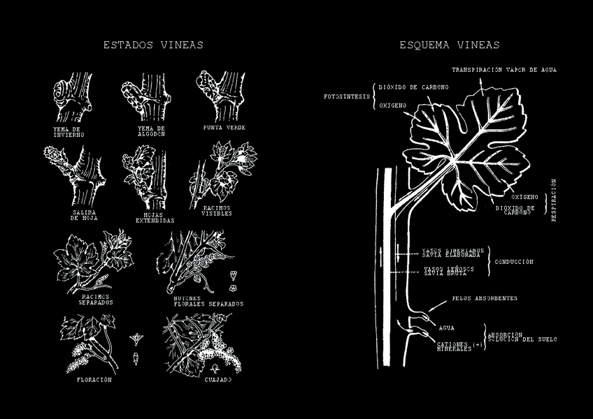 Miniatura del documento E1.pdf