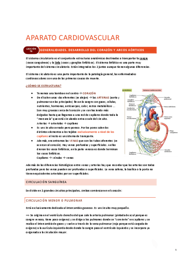 Miniatura del documento CARDIO-COMPLETO.pdf