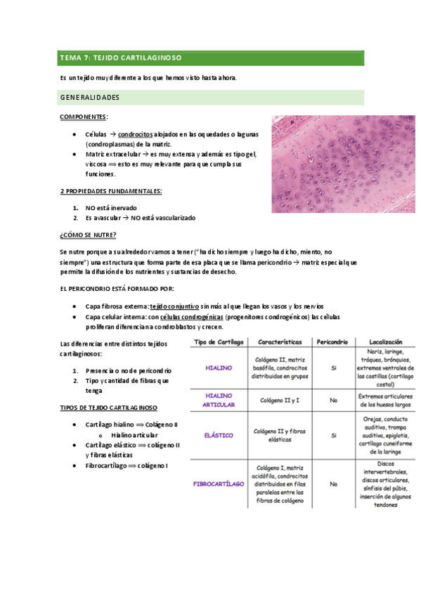 Miniatura del documento tejido-cartilaginoso.pdf