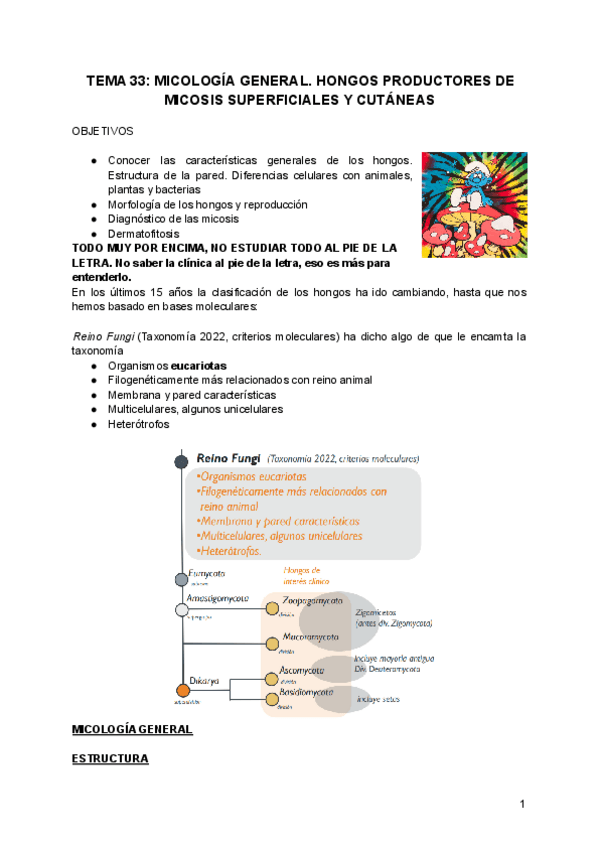 Miniatura del documento Micología apuntes.pdf