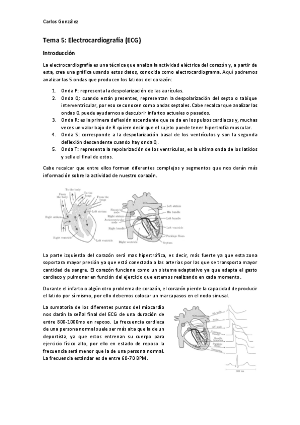 Miniatura del documento Tema-5-ECG.pdf