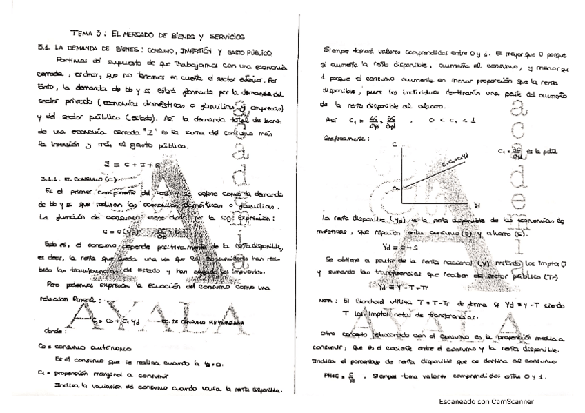 Miniatura del documento 1.pdf
