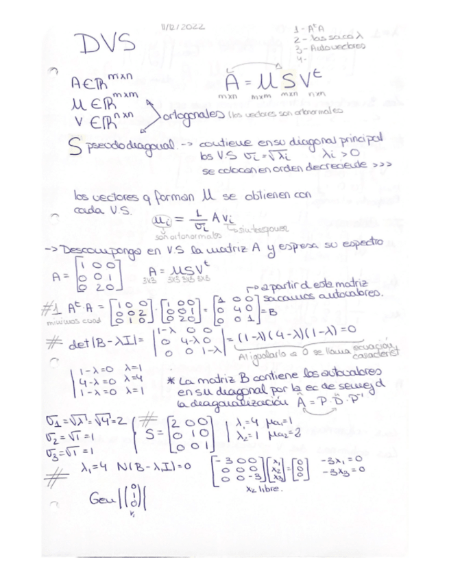 Miniatura del documento Descomposicion-en-Valores-singulares.pdf