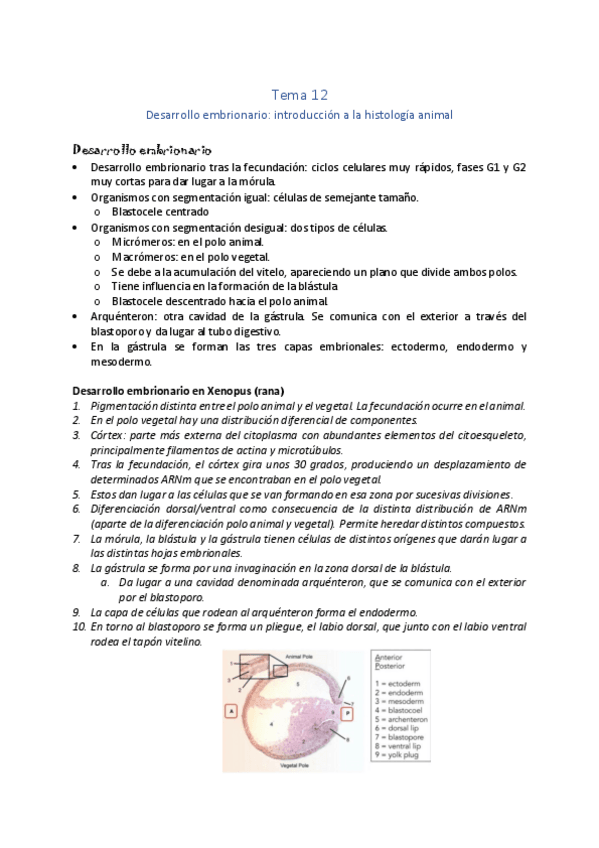 Miniatura del documento Tema-12.pdf