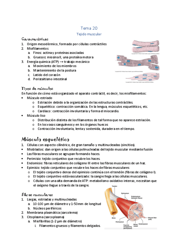 Miniatura del documento Tema-20.pdf