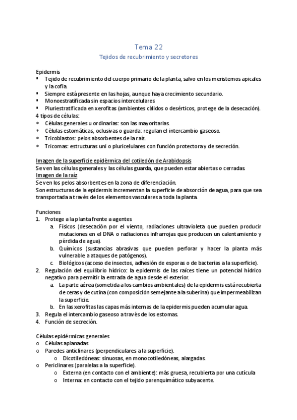 Miniatura del documento Tema-22.pdf