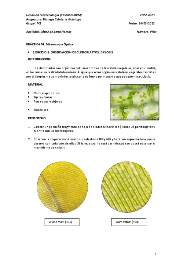 Miniatura del documento Practica-1.pdf