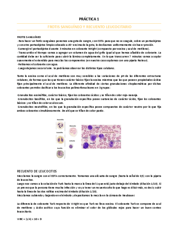 Miniatura del documento EXAMEN-PRACTICAS-REPASO.pdf