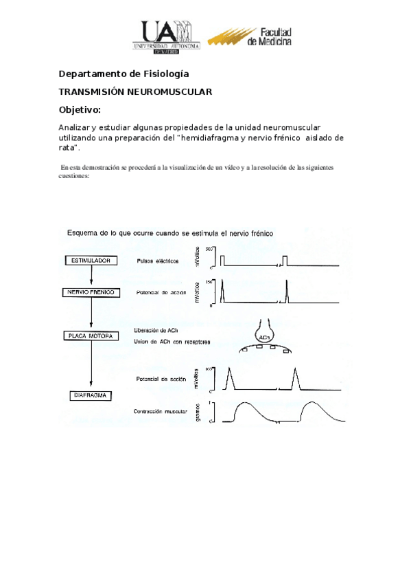 Miniatura del documento Ejercicio seminario 1.docx