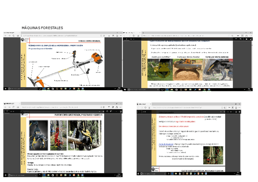Miniatura del documento EXAMEN.docx