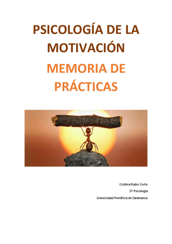 Miniatura del documento MEMORIA-de-practicas.pdf