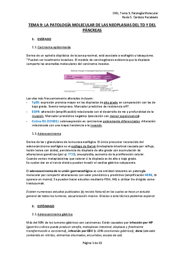 Miniatura del documento TEMA-9-PM.pdf