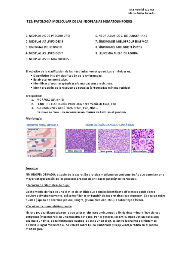 Miniatura del documento TEMA-12-PM.pdf
